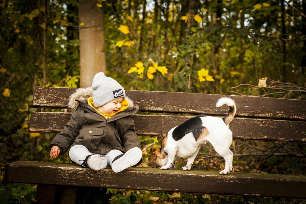 kind-mit-hund-auf-bank