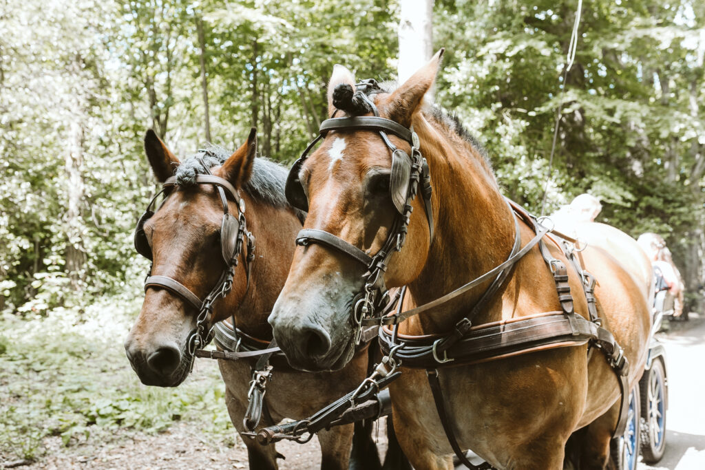 Automatisch gespeicherter Entwurf